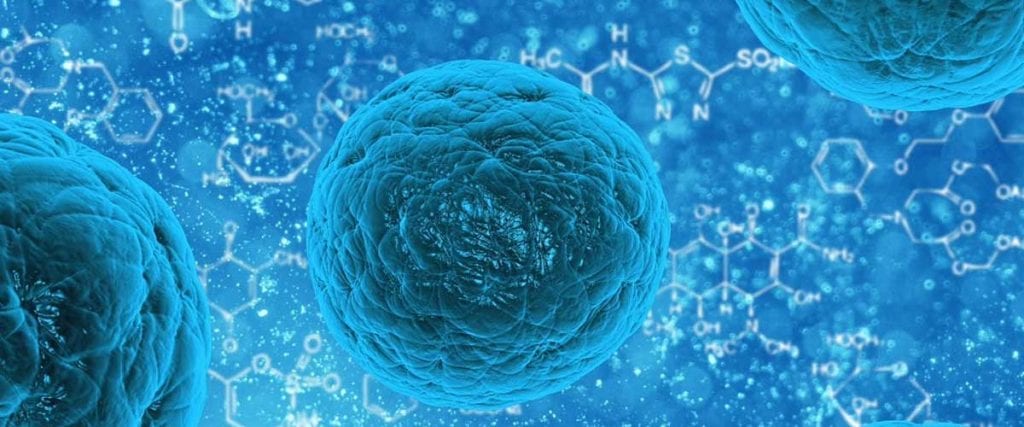 Intrebari frecvente celule stem – InScientiaFides celule stem