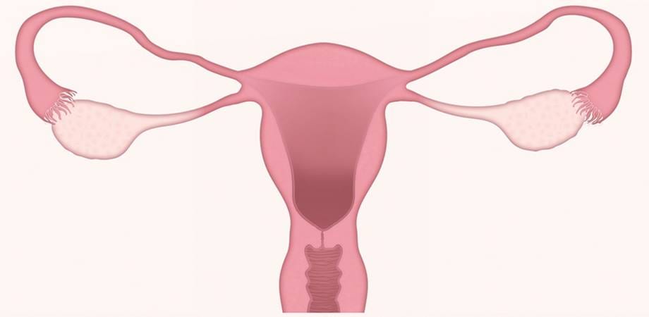 cancer de col uterin si HPV