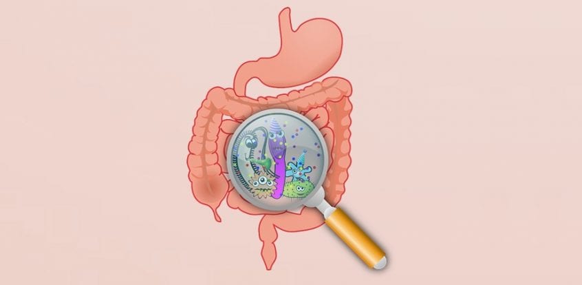 dezechilibrul bacteriilor intestinale si cancerul