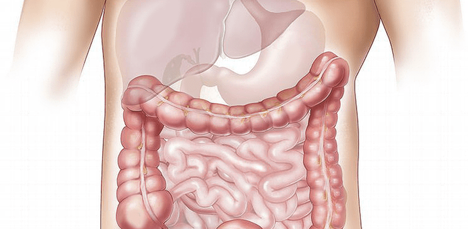 Colonoscopie (endoscopie digestiva inferioara) & rectosigmoidoscopie