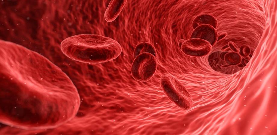 Hemoglobina - Ce este, functie, valori, boli asociate | Bioclinica