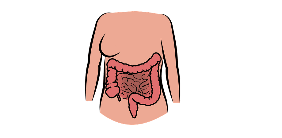 Afectiuni inflamatorii intestinale: boala Crohn si colita ulcerativa