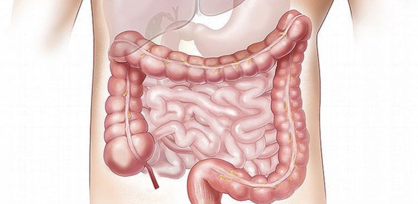 Dysbioza intestinală la sugari: cauze și tratament - Întrebări June